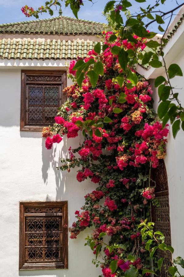 Riad Alma Marrakesh Eksteriør bilde