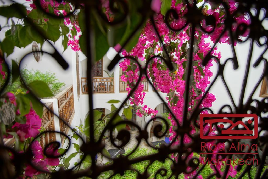 Riad Alma Marrakesh Eksteriør bilde
